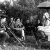 Актриса Мэри Пикфорд, оператор Чарльз Рошер, режиссеры Альфред Э. Грин и Джек Пикфорд  на съемках фильма "С черного хода", 1921г